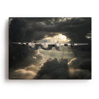 Mosquito Canvas Print